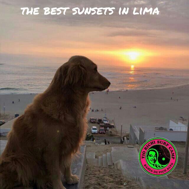 푼타 에르모사 Tio Richi Surfcamp 호스텔 외부 사진